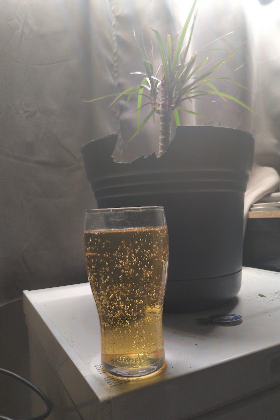 Mr. Beach and I having a glass of beer